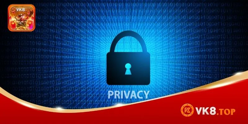 Current VK8 privacy policy content