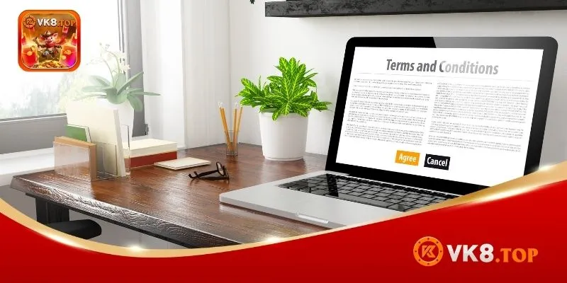 Summary of VK8 terms and conditions